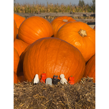 Hallowenowy zestaw strasznych minimalsów