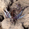 Hollow Dragons with Wings Movable Figurine - Flexi Cinderwing3D
