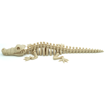 Crocodile Flexi Skeleton - Flexi Factory