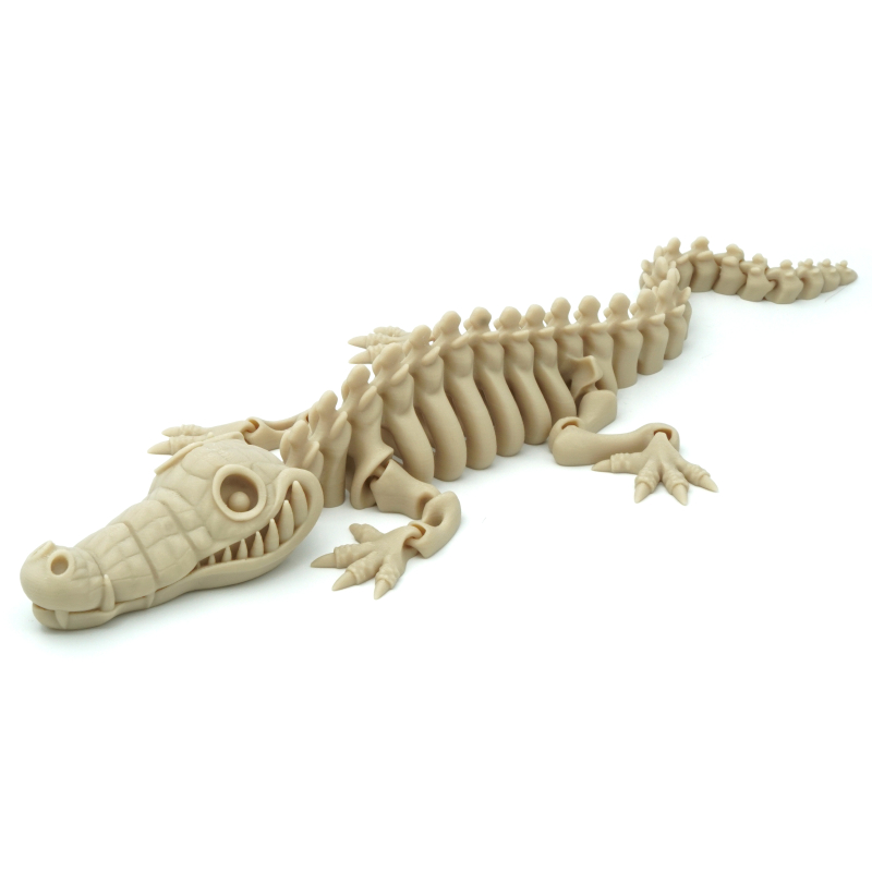 Crocodile Flexi Skeleton - Flexi Factory