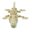 Crocodile Flexi Skeleton - Flexi Factory