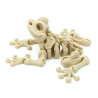 Frog Flexi Magnetic Skeleton