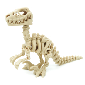 Raptor Flexi Skeleton - Flexi Factory