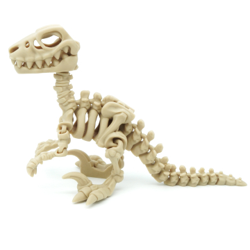 Raptor Flexi Skeleton - Flexi Factory