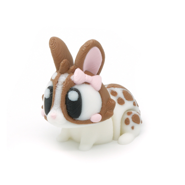 Bunny in dots flexi with a bow