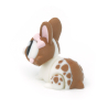 Bunny in dots flexi with a bow
