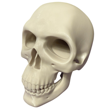 Składana realistyczna czaszka wieża do kości - Skull Dice Tower