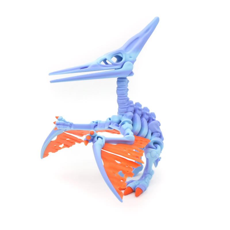 Pteranodon Flexi Skeleton PREMIUM - Flexi Factory