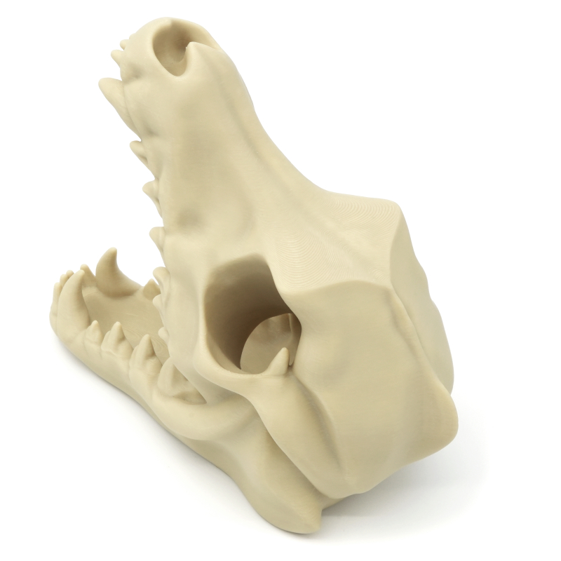 Czaszka wilka wieża do kości - Wolf Skull Dice Tower