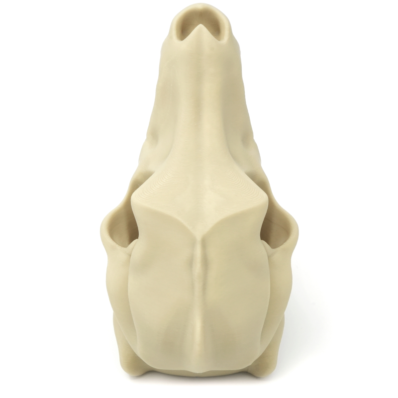 Czaszka wilka wieża do kości - Wolf Skull Dice Tower