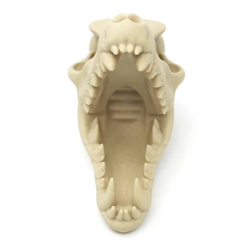 Czaszka wilka wieża do kości - Wolf Skull Dice Tower