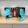 Crystal Dragon Head with eye and Tail - Book Nook