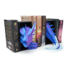 Sea Dragon Head with eye and Tail - Book Nook