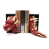 Dragon Head with eye and Tail - Book Nook PREMIUM V2
